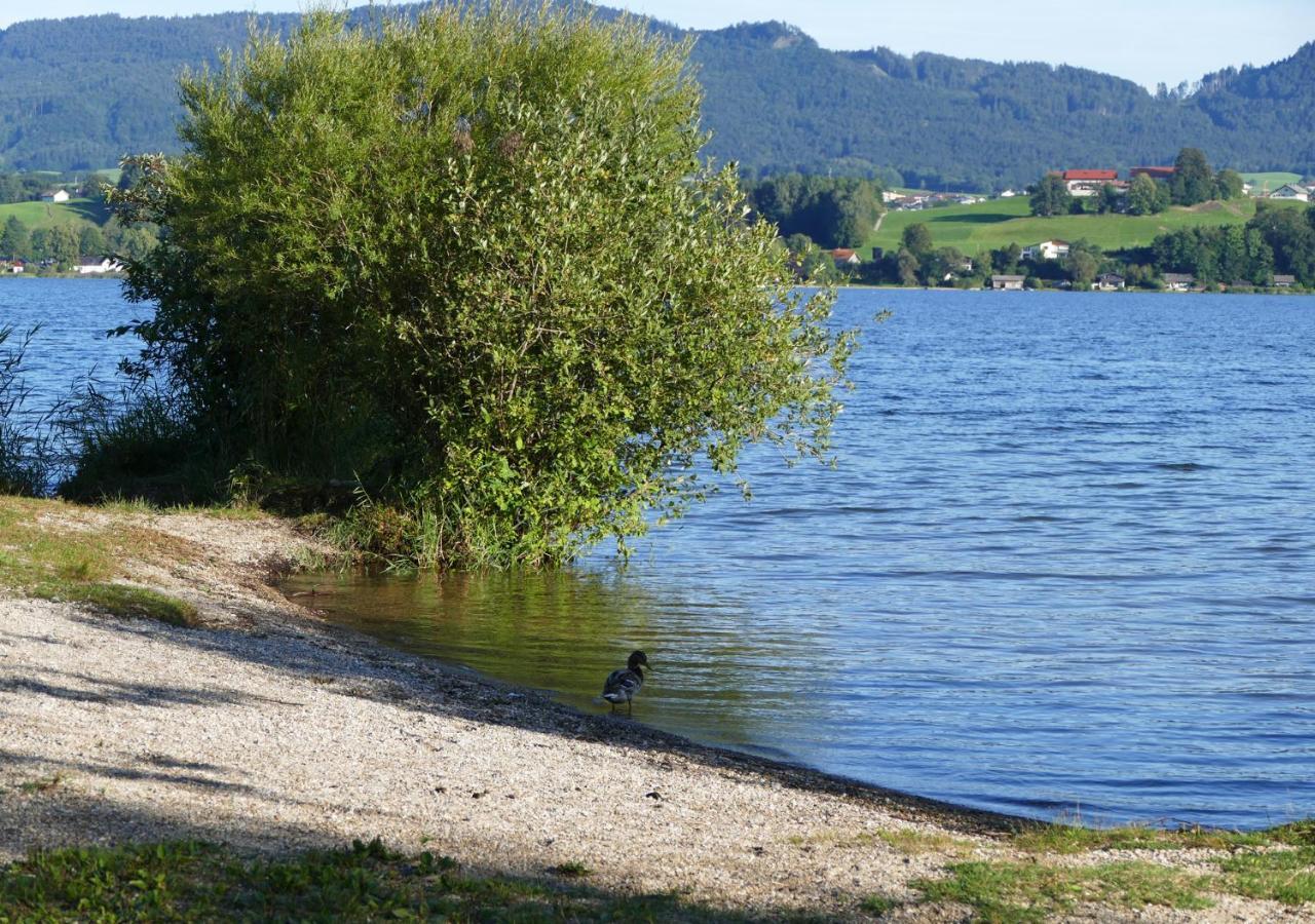 Refugio Del Lago Seekirchen am Wallersee Zewnętrze zdjęcie