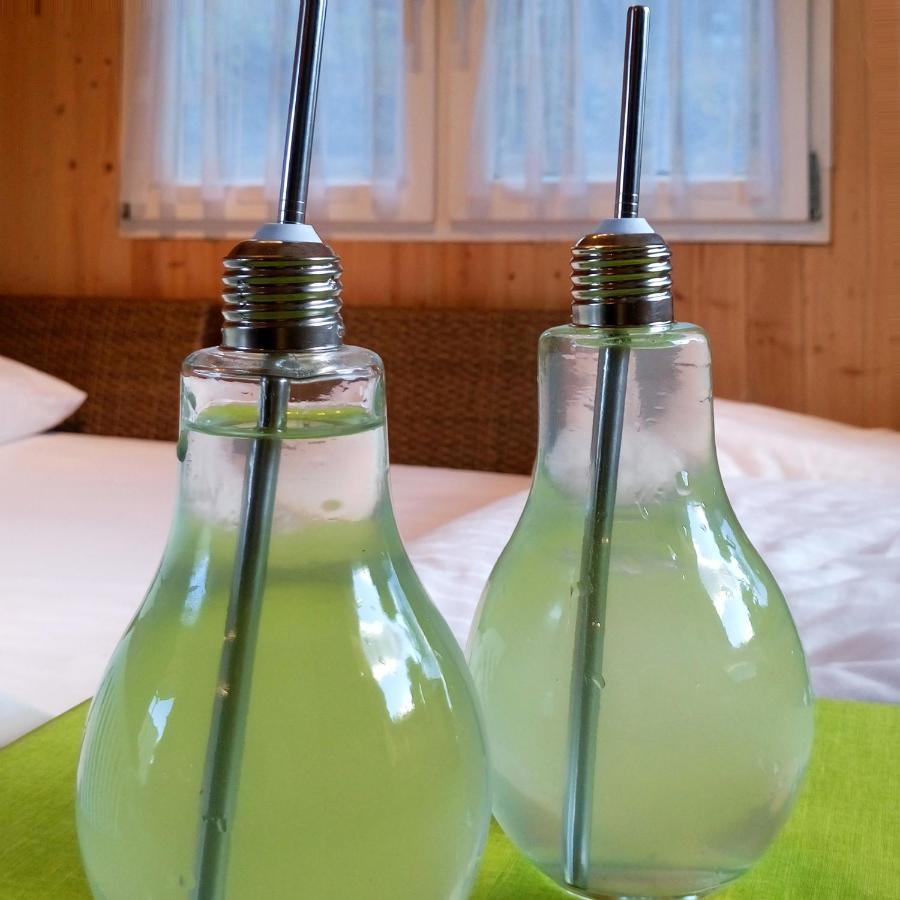 Refugio Del Lago Seekirchen am Wallersee Zewnętrze zdjęcie