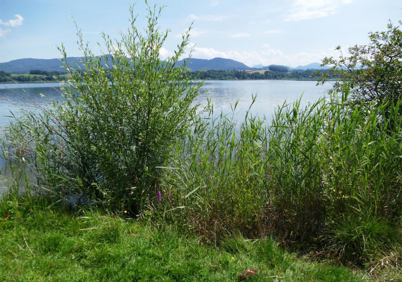 Refugio Del Lago Seekirchen am Wallersee Zewnętrze zdjęcie
