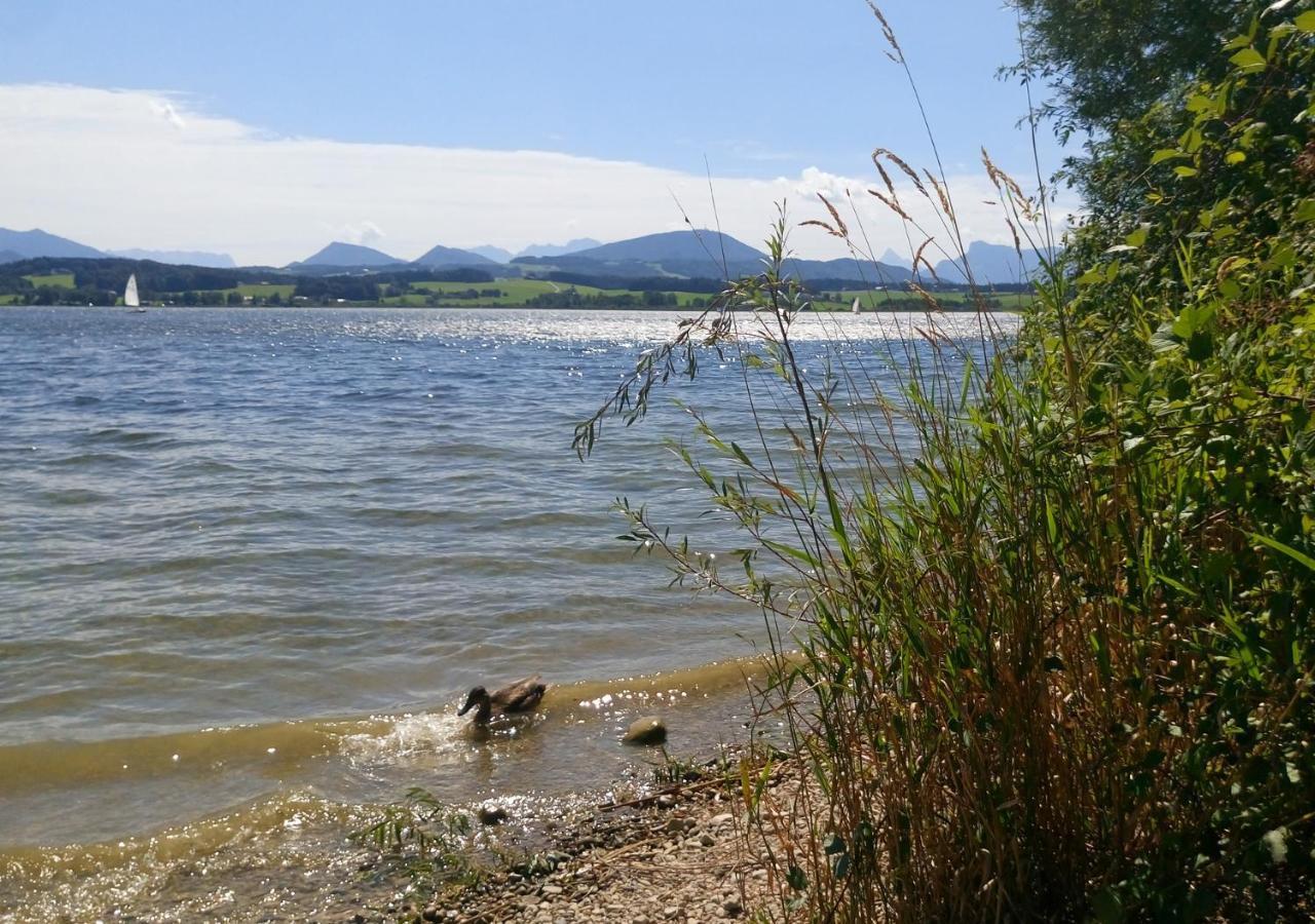 Refugio Del Lago Seekirchen am Wallersee Zewnętrze zdjęcie